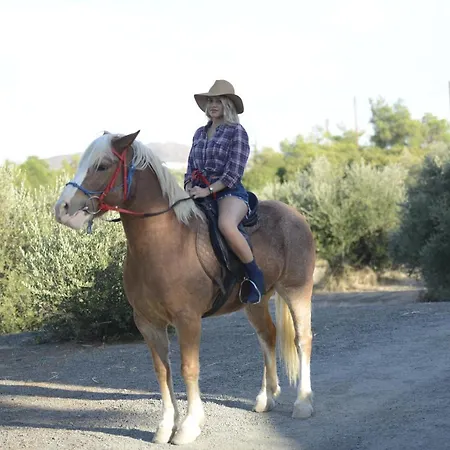 Rancho Relaxo - 